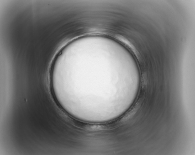 X0000103231467200809181514