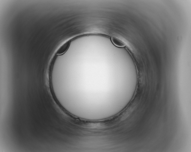 X0000103231468200809181514
