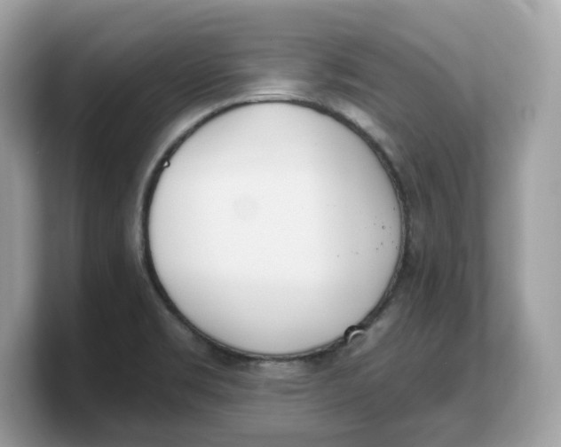 X0000103231469200809181514