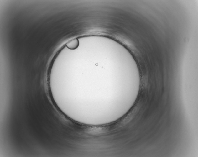 X0000103231470200809181514