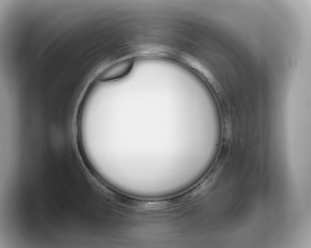 X0000103231471200809181514