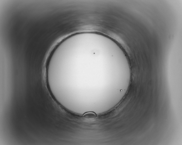 X0000103231472200809181514