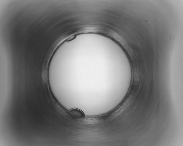 X0000103231473200809181514