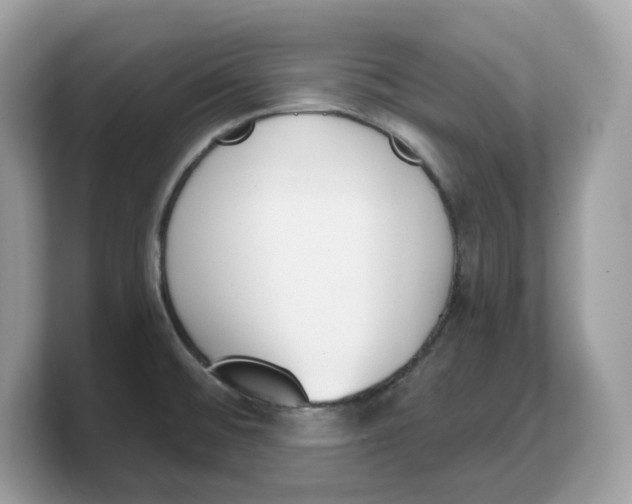 X0000103231476200809181514