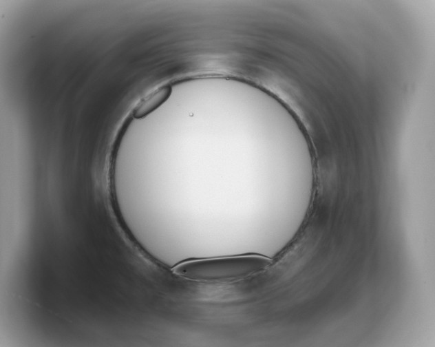 X0000103231477200809181514