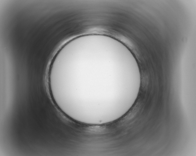 X0000103231478200809181514