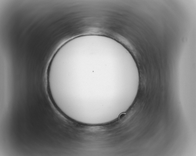 X0000103231479200809181514
