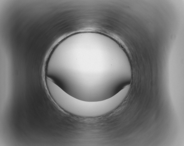 X0000103231480200809181514