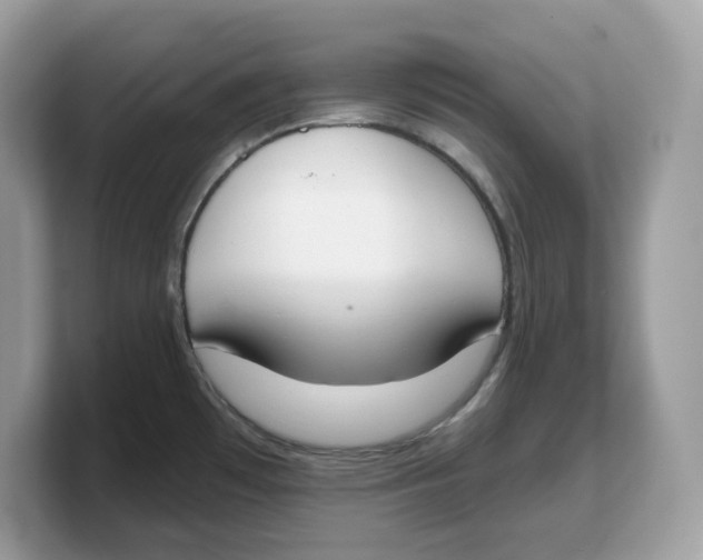 X0000103231481200809181514