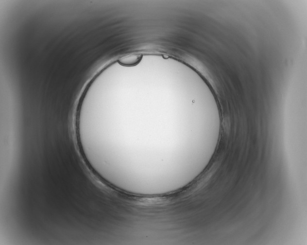 X0000103231482200809181514