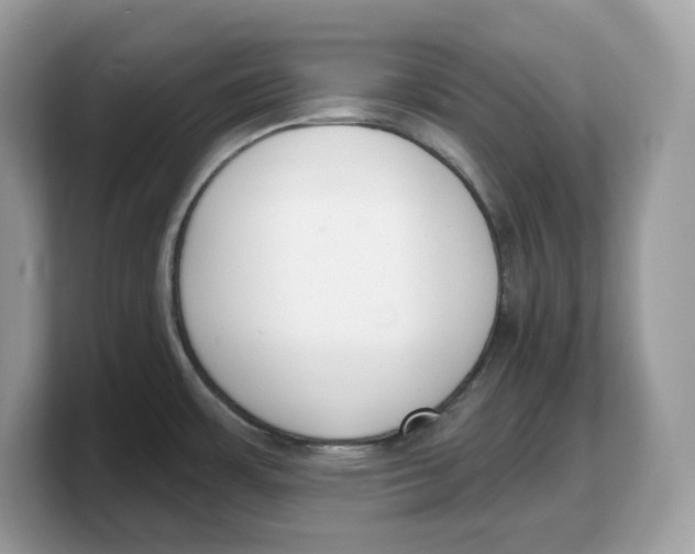 X0000103231483200809181514