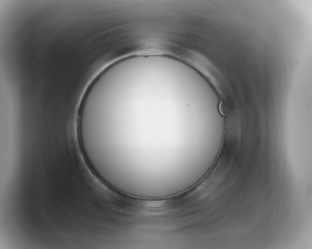 X0000103231484200809181514