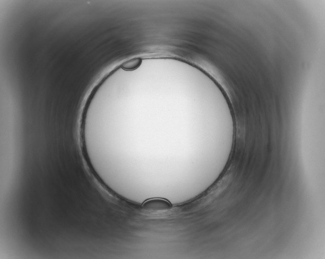 X0000103231485200809181514