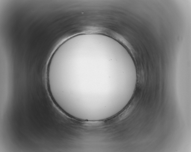 X0000103231487200809181514