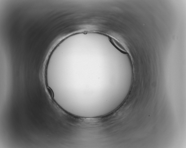X0000103231488200809181514