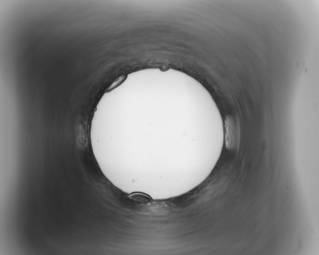 X0000103231491200809181513