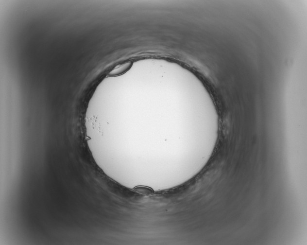 X0000103231496200809181513