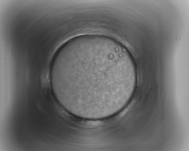 X0000103231498200809181513