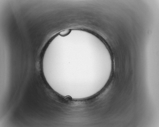 X0000103231501200809181513