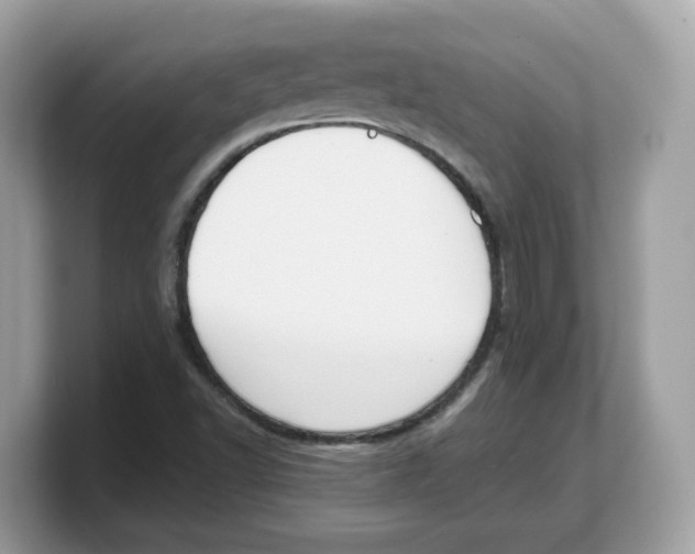 X0000103231502200809181513