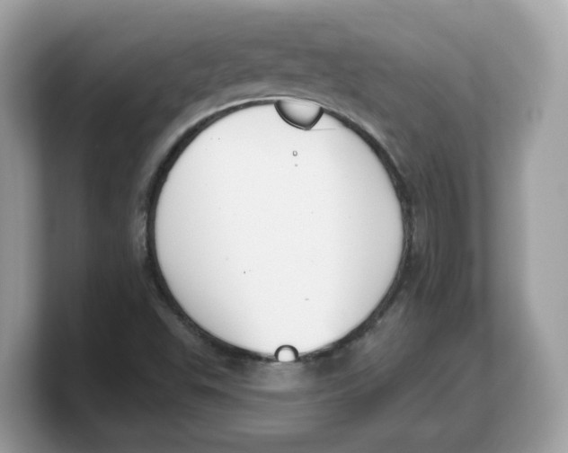 X0000103231503200809181513