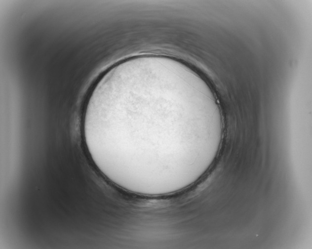 X0000103231506200809181513