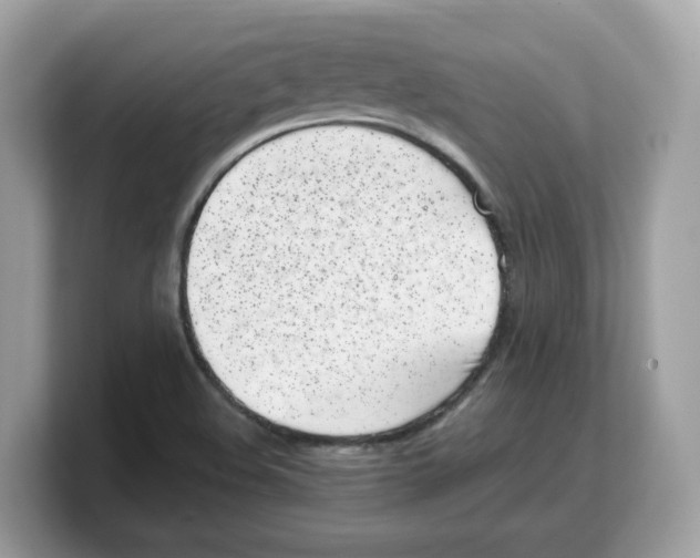 X0000103231508200809181513