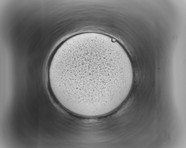 X0000103231515200809181513