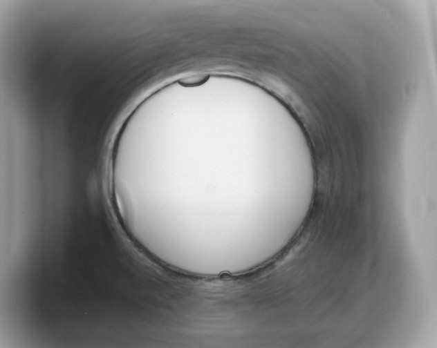 X0000103231520200809181513