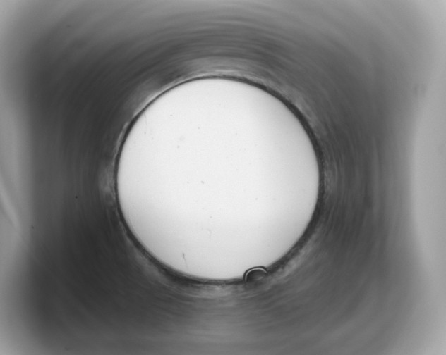 X0000103231521200809181513