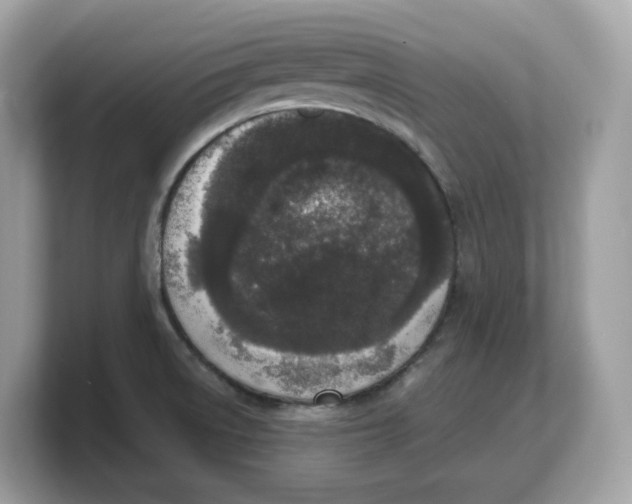 X0000103231522200809181513