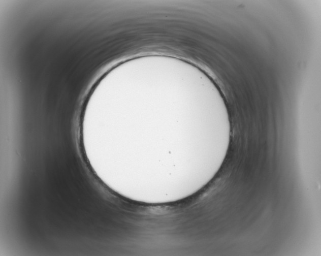 X0000103231523200809181513