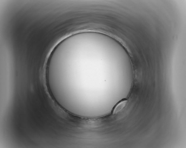 X0000103231530200809181513