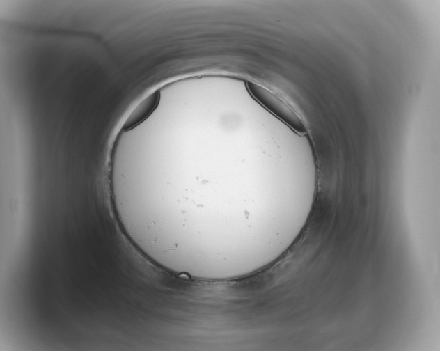 X0000103231532200809181513