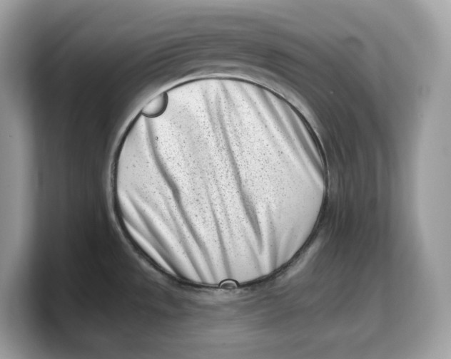 X0000103231533200809181513