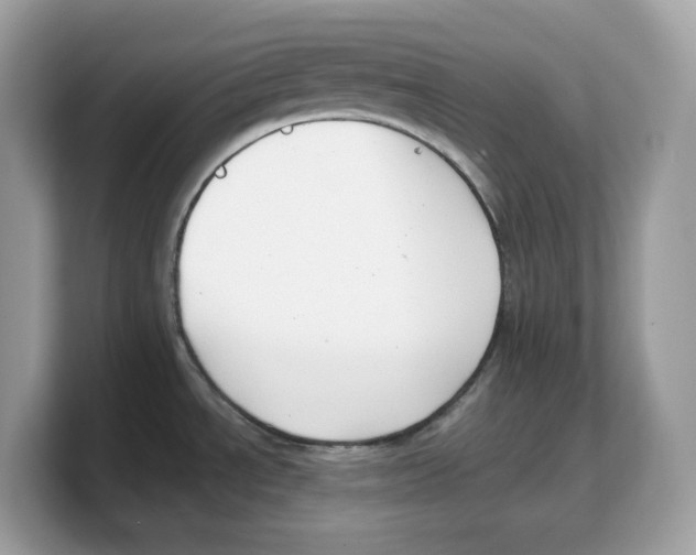 X0000103231534200809181513