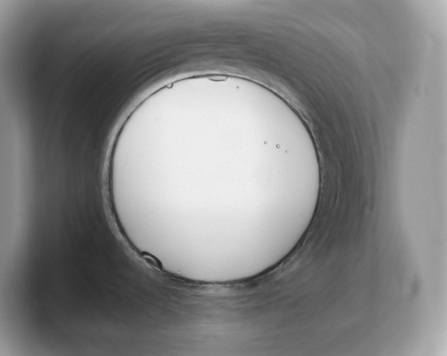 X0000103231536200809181514