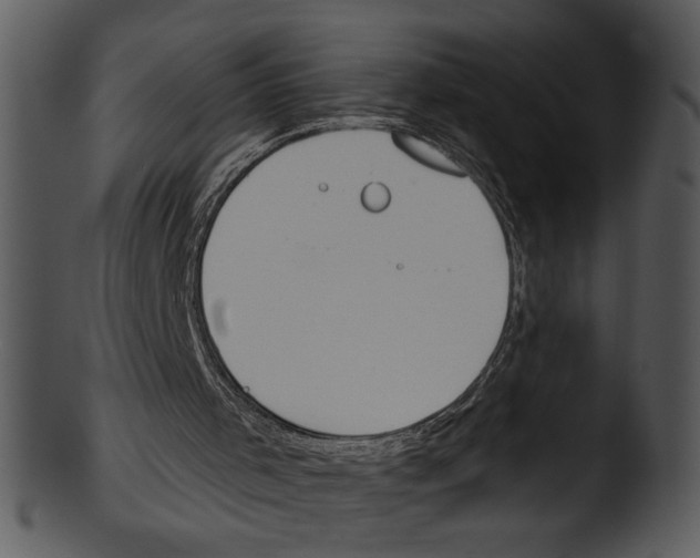 X0000103230001200809251315
