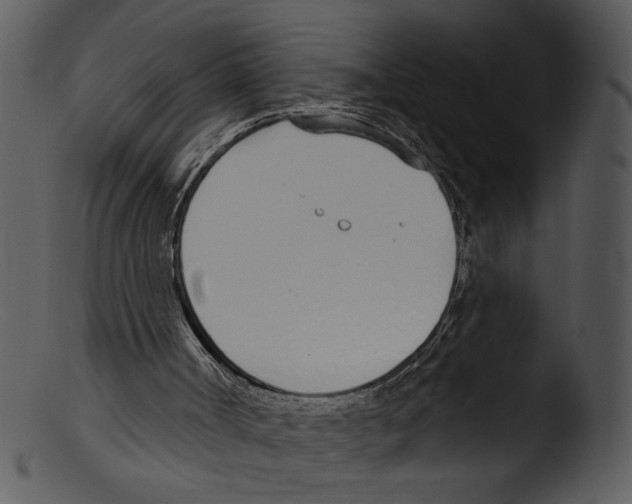 X0000103230002200809251315