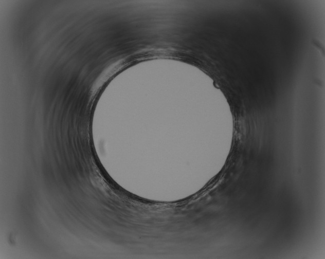 X0000103230004200809251315