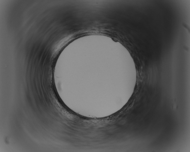 X0000103230005200809251315