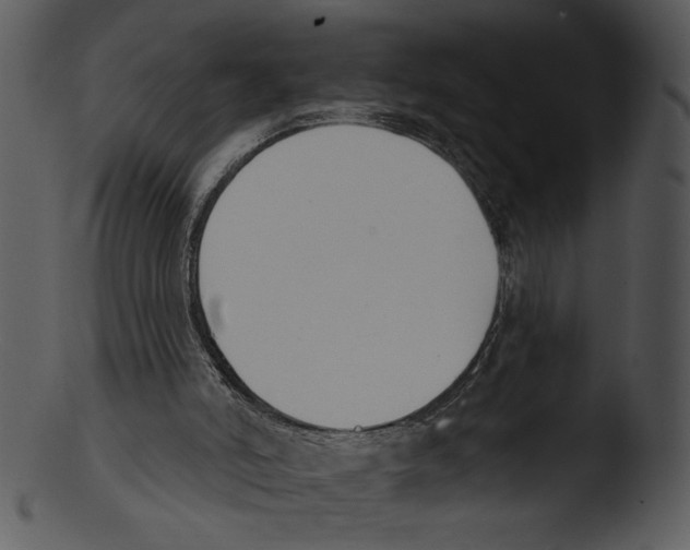 X0000103230006200809251315
