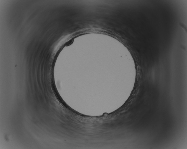 X0000103230007200809251315