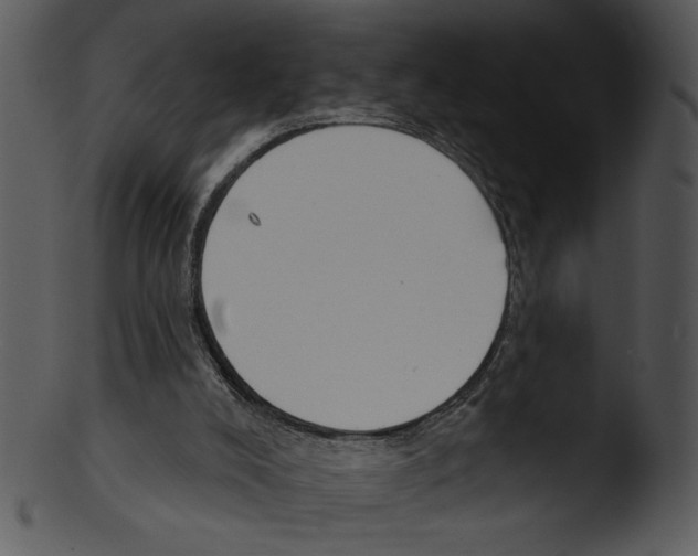 X0000103230008200809251315