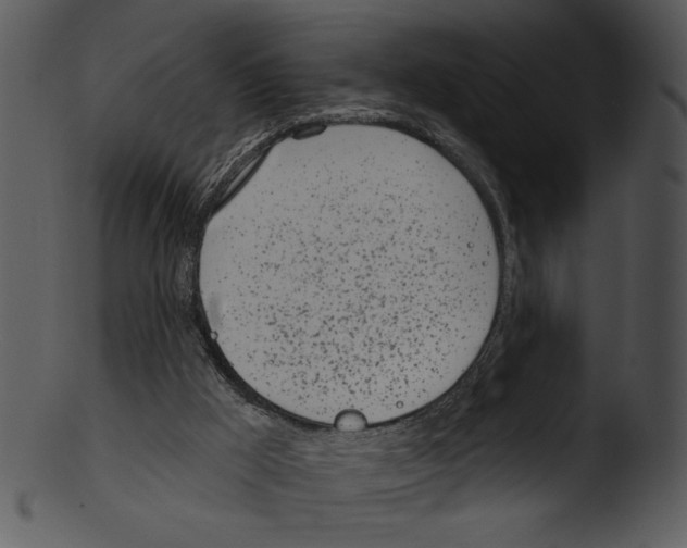 X0000103230009200809251315