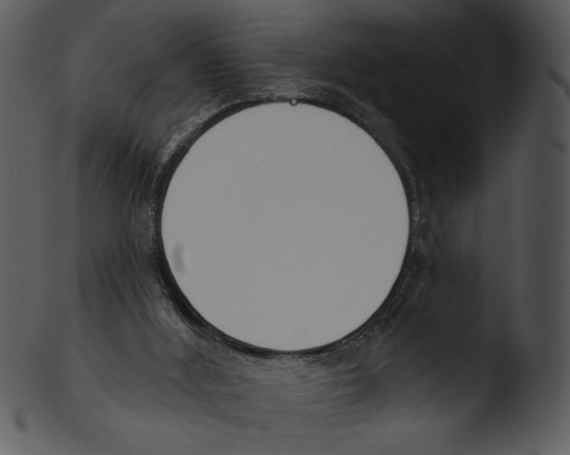 X0000103230012200809251315
