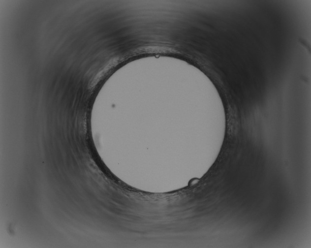 X0000103230015200809251315