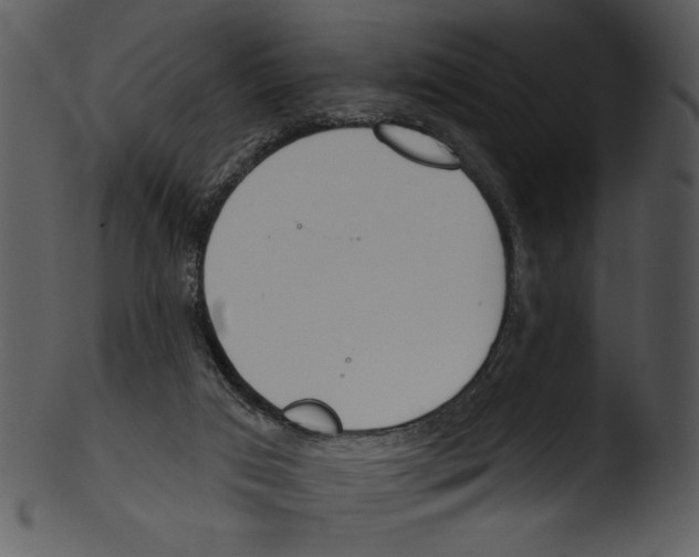 X0000103230017200809251315