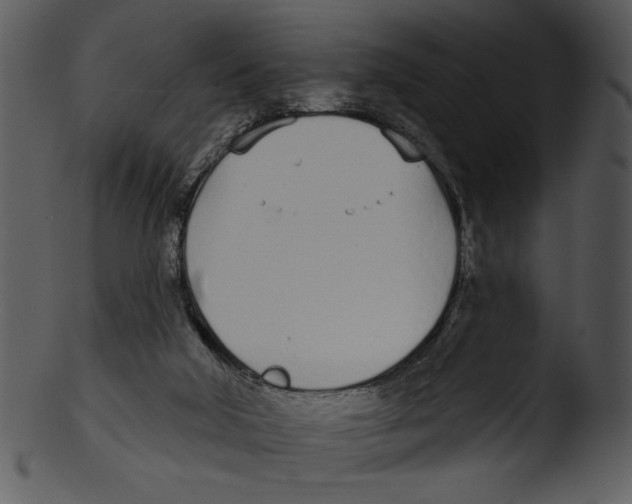 X0000103230018200809251315