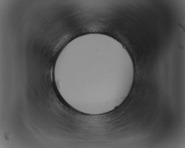 X0000103230019200809251315